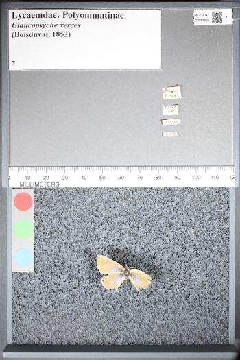 Media type: image;   Entomology 51936